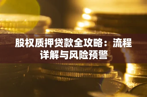 济南股权质押贷款全攻略：流程详解与风险预警