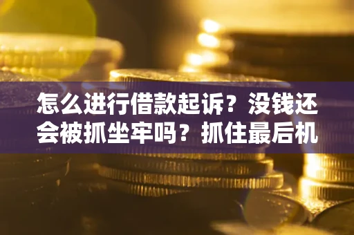 济南怎么进行借款起诉？没钱还会被抓坐牢吗？抓住最后机会！