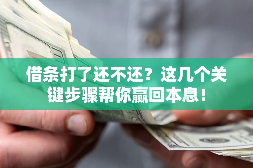 济南借条打了还不还？这几个关键步骤帮你赢回本息！
