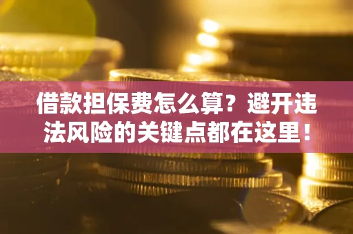 济南借款担保费怎么算？避开违法风险的关键点都在这里！