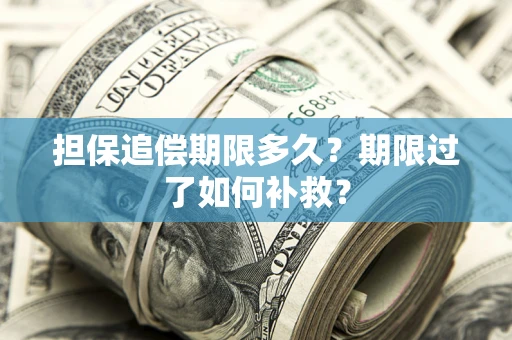 济南担保追偿期限多久？期限过了如何补救？